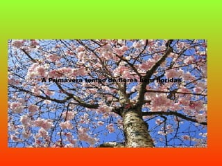 A Primavera tempo de flores bem floridas 