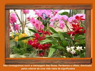 Não conseguimos ouvir a mensagem das flores. Perdemos o olfato, dominado pelos odores de uma vida vazia de significados.   