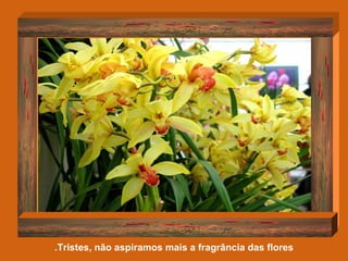Tristes, não aspiramos mais a fragrância das flores. 