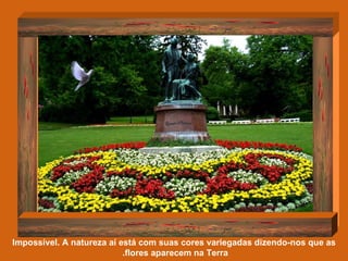 Impossível. A natureza aí está com suas cores variegadas dizendo-nos que as flores aparecem na Terra.   