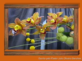 Escrito pelo Pastor Julio Oliveira Sanches   