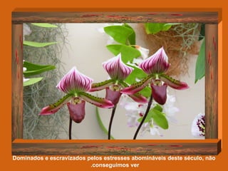 Dominados e escravizados pelos estresses abomináveis deste século, não conseguimos ver.   