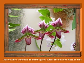 Não ouvimos. O barulho do amanhã gerou surdez absoluta nos olhos da alma.   