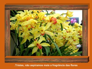 Tristes, não aspiramos mais a fragrância das flores. 