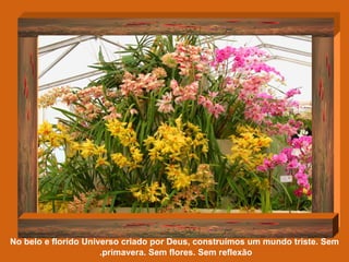 No belo e florido Universo criado por Deus, construímos um mundo triste. Sem primavera. Sem flores. Sem reflexão.   