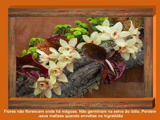 Flores não florescem onde há mágoas. Não germinam na selva do ódio. Perdem seus matizes quando envoltas na ingratidão.  