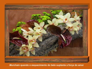 Murcham quando o esquecimento do belo suplanta a força do amor.   