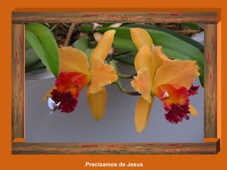 Precisamos de Jesus. 