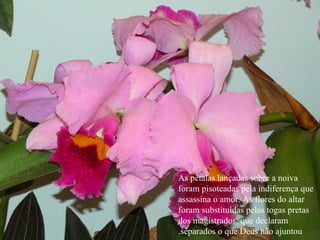 As pétalas lançadas sobre a noiva foram pisoteadas pela indiferença que assassina o amor. As flores do altar foram substituídas pelas togas pretas dos magistrados, que declaram separados o que Deus não ajuntou. 