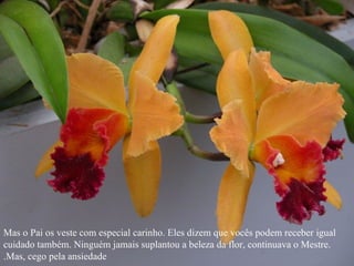 Mas o Pai os veste com especial carinho. Eles dizem que vocês podem receber igual cuidado também. Ninguém jamais suplantou a beleza da flor, continuava o Mestre. Mas, cego pela ansiedade. 