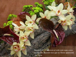 Impossível. A natureza aí está com suas cores variegadas dizendo-nos que as flores aparecem na Terra.  