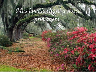 Mas jamais tirará a nossa
primavera.
 