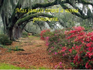 Mas jamais tirará a nossa
primavera.
 
