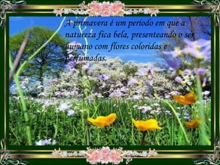 A primavera é um período em que a natureza fica bela, presenteando o ser humano com flores coloridas e perfumadas.  