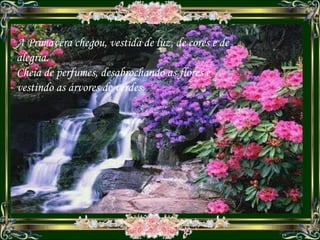 A Primavera chegou, vestida de luz, de cores e de alegria. Cheia de perfumes, desabrochando as flores e vestindo as árvores de verdes. 