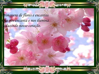 Primavera de flores e encantos Que nos encanta e nos ilumina. Seduzindo nosso coração. 