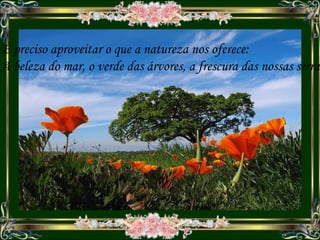 É preciso aproveitar o que a natureza nos oferece: A beleza do mar, o verde das árvores, a frescura das nossas serras. 