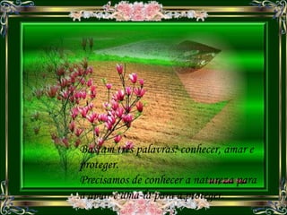 Bastam três palavras: conhecer, amar e proteger. Precisamos de conhecer a natureza para a amar e amá-la para a proteger. 