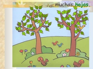... muchas  hojas . 
