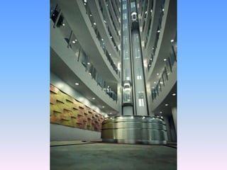 אהוד זקסנברג - פרויקט בראשוב primavera