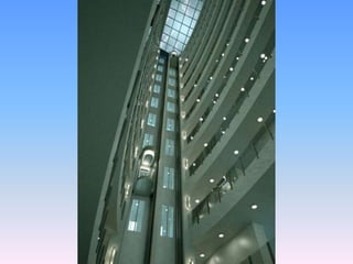 אהוד זקסנברג - פרויקט בראשוב primavera