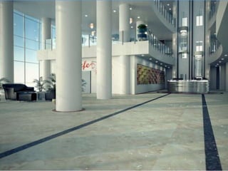 אהוד זקסנברג - פרויקט בראשוב primavera