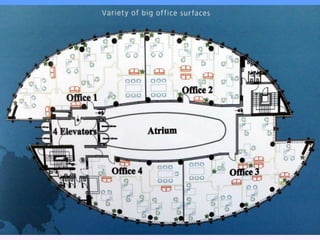 אהוד זקסנברג - פרויקט בראשוב primavera