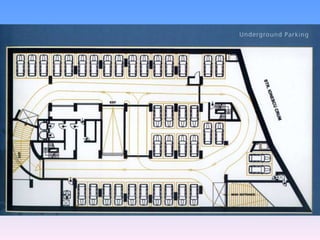 אהוד זקסנברג - פרויקט בראשוב primavera