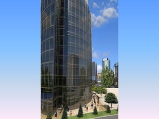 אהוד זקסנברג - פרויקט בראשוב primavera