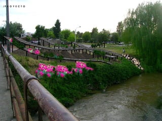 / P  R  O  Y  E  C  T  O  