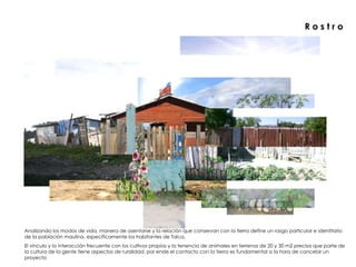 R o s t r o Analizando los modos de vida, manera de asentarse y la relación que conservan con la tierra define un rasgo particular e identitario de la población maulina, específicamente los habitantes de Talca. El vínculo y la interacción frecuente con los cultivos propios y la tenencia de animales en terrenos de 20 y 30 m2 precisa que parte de la cultura de la gente tiene aspectos de ruralidad, por ende el contacto con la tierra es fundamental a la hora de concebir un proyecto  