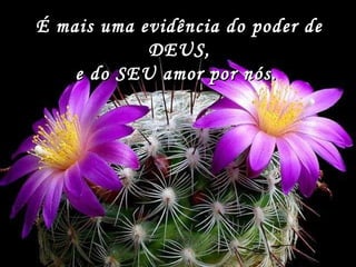 É mais uma evidência do poder deÉ mais uma evidência do poder de
DEUS,DEUS,
e do SEU amor por nós.e do SEU amor por nós.
 