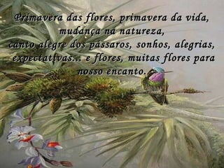 Primavera das flores, primavera da vida,Primavera das flores, primavera da vida,
mudança na natureza,mudança na natureza,
canto alegre dos pássaros, sonhos, alegrias,canto alegre dos pássaros, sonhos, alegrias,
expectativas... e flores, muitas flores paraexpectativas... e flores, muitas flores para
nosso encanto.nosso encanto.
 