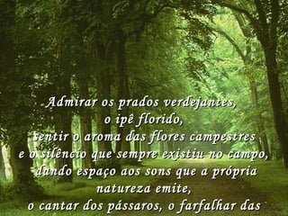 Admirar os prados verdejantes,Admirar os prados verdejantes,
o ipê florido,o ipê florido,
sentir o aroma das flores campestressentir o aroma das flores campestres
e o silêncio que sempre existiu no campo,e o silêncio que sempre existiu no campo,
dando espaço aos sons que a própriadando espaço aos sons que a própria
natureza emite,natureza emite,
o cantar dos pássaros, o farfalhar daso cantar dos pássaros, o farfalhar das
 