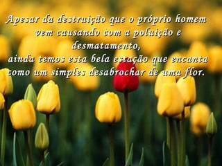 Apesar da destruição que o próprio homemApesar da destruição que o próprio homem
vem causando com a poluição evem causando com a poluição e
desmatamento,desmatamento,
ainda temos esta bela estação que encantaainda temos esta bela estação que encanta
como um simples desabrochar de uma flor. como um simples desabrochar de uma flor. 
 