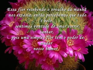 Essa flor recebendo o orvalho da manhãEssa flor recebendo o orvalho da manhã
nos extasia, então percebemos que tudonos extasia, então percebemos que tudo
é belo,é belo,
sentimos vontade de amar sorrir,sentimos vontade de amar sorrir,
cantar,cantar,
pois uma simples flor tem o poder depois uma simples flor tem o poder de
mudarmudar
nosso humor. nosso humor. 
 