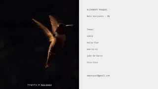 ALEXANDER PASQUAL
Belo Horizonte - MG
Temas:
sabiá
beija-flor
bem-te-vi
joão-de-barro
tico-tico
ampasqual@gmail.com
Fotografia de Mona Eendra
 