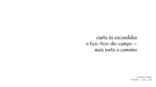 canta às escondidas
o tico-tico-do-campo —
mais lento o caminho
ALEXANDER PASQUAL
PRIMAVERA - haiku, 2017
 