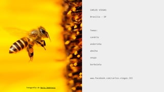 CARLOS VIEGAS
Brasília - DF
Temas:
canário
andorinha
abelha
vespa
borboleta
www.facebook.com/carlos.viegas.315
Fotografia de Boris Smokrovic
 