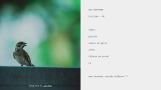 EDU HOFFMANN
Curitiba - PR
Temas:
gorjeio
namoro de gatos
ninho
filhote de pardal
rã
www.facebook.com/edu.hoffmann.77
Fotografia de Linh Pham
 