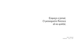 Esqueço o jornal.
O pessegueiro floresce
ali no quintal.
MÁRIO ZAMATARO
PRIMAVERA - haiku, 2017
 