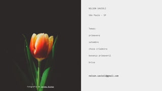 NELSON SAVIOLI
São Paulo - SP
Temas:
primavera
setembro
chuva criadeira
bonança primaveril
brisa
nelson.savioli@gmail.com
Fotografia de Jeremy Bishop
 