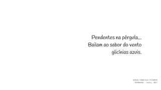 Pendentes na pérgula...
Bailam ao sabor do vento
glicínias azuis.
SERGIO FRANCISCO PICHORIM
PRIMAVERA - haiku, 2017
 