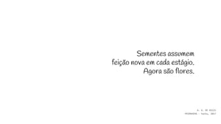 Sementes assumem
feição nova em cada estágio.
Agora são flores.
A. A. DE ASSIS
PRIMAVERA - haiku, 2017
 