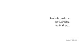 broto de roseira –
em fila indiana
as formigas…
VANICE ZIMERMAN
PRIMAVERA - haiku, 2017
 