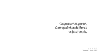Os passantes param.
Carregadinhos de flores
os jacarandás.
A. A. DE ASSIS
PRIMAVERA - haiku, 2017
 