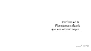Perfume no ar.
Florada nos cafezais
qual nos velhos tempos.
A. A. DE ASSIS
PRIMAVERA - haiku, 2017
 