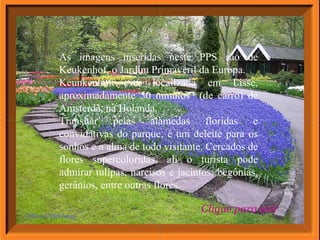 As imagens inseridas neste PPS são de
Keukenhof, o Jardim Primaveril da Europa.
Keunkenhof está localizada em Lisse,
aproximadamente 50 minutos (de carro) de
Amsterdã, na Holanda.
Transitar pelas alamedas floridas e
convidativas do parque, é um deleite para os
sonhos e a alma de todo visitante. Cercados de
flores supercoloridas, ali o turista pode
admirar tulipas, narcisos e jacintos; begônias,
gerânios, entre outras flores.
Clique para sair
 