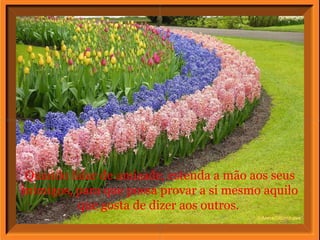 Quando falar de amizade, estenda a mão aos seus
inimigos, para que possa provar a si mesmo aquilo
que gosta de dizer aos outros.
 