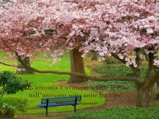 “ L ’armonia è ovunque e tutte le cose nell’universo sono unite fra loro” Paramahansa Yogananda 